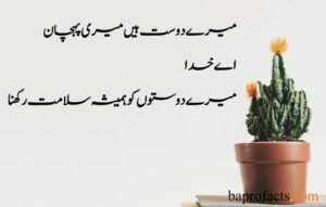 Friendship Quotes in Urdu