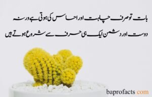 Friendship Quotes in Urdu