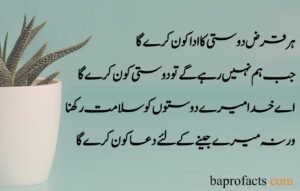 Friendship Quotes in Urdu