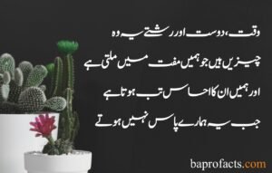 Friendship Quotes in Urdu