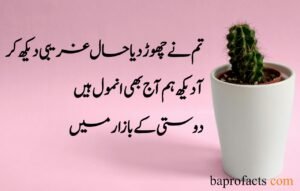 Friendship Quotes in Urdu