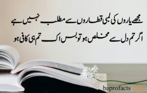 Friendship Quotes in Urdu