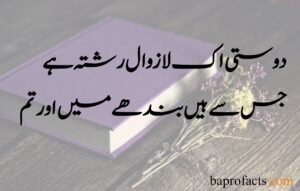 Friendship Quotes in Urdu