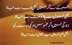 Friendship Quotes in Urdu