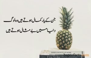 Friendship Quotes in Urdu