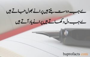 Friendship Quotes in Urdu