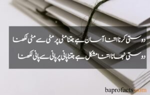 Friendship Quotes in Urdu