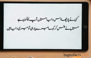 Friendship Quotes in Urdu