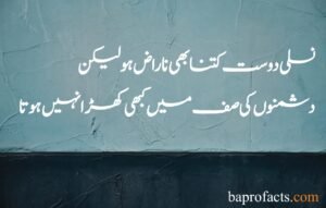 Friendship Quotes in Urdu