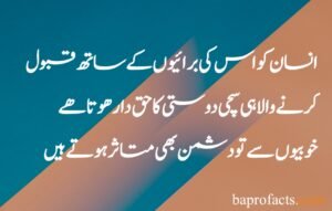 Friendship Quotes in Urdu