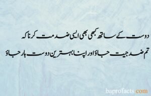 Friendship Quotes in Urdu