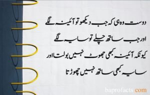 Friendship Quotes in Urdu