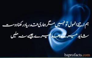 Friendship Quotes in Urdu