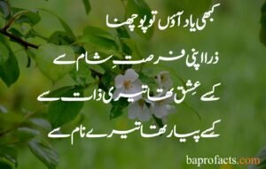 Love Poetry in Urdu