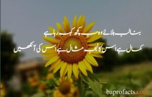 Love Poetry in Urdu