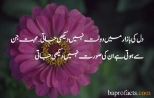 Love Poetry in Urdu