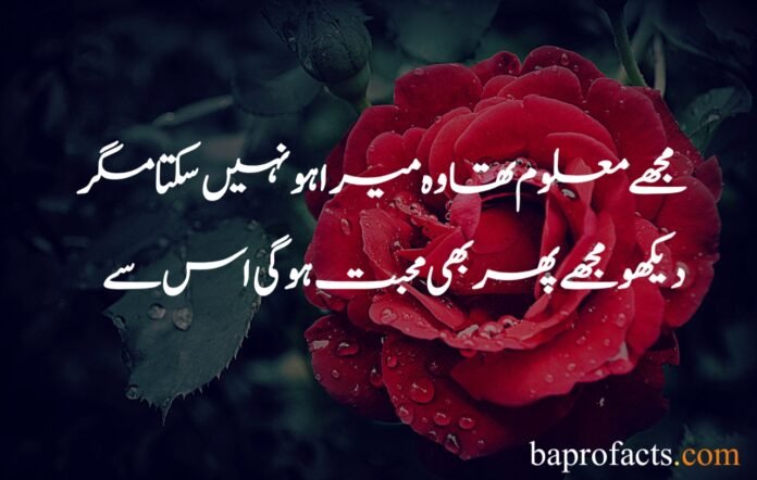 Love Poetry in Urdu