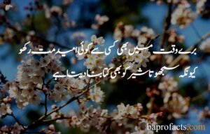 Emotional Quotes in Urdu