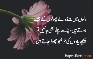 Hazrat Ali Quotes in Urdu about Love 