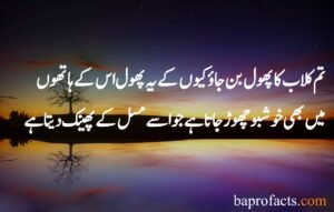 Hazrat Ali Quotes in Urdu about Love 