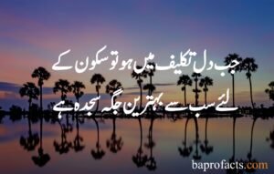 Hazrat Ali Quotes in Urdu about Love 