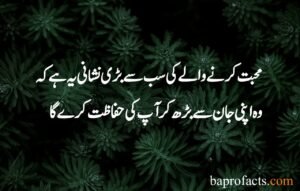 Hazrat Ali Quotes in Urdu about Love 