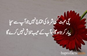 Hazrat Ali Quotes in Urdu about Love 