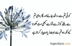 Hazrat Ali Quotes in Urdu about Love 