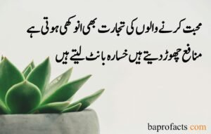 Hazrat Ali Quotes in Urdu about Love 