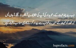 Hazrat Ali Quotes in Urdu about Love 