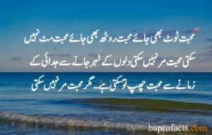 Hazrat Ali Quotes in Urdu about Love 