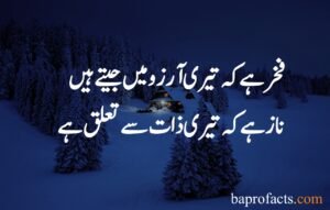 Islamic Poetry in Urdu