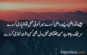 Islamic Poetry in Urdu