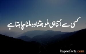 Islamic Quotes in Urdu