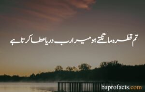 Best Islamic Quotes in Urdu 