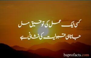 Best Islamic Quotes in Urdu 