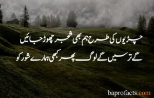 Best Islamic Quotes in Urdu 