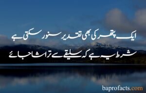 Best Islamic Quotes in Urdu 