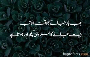 Best Islamic Quotes in Urdu 