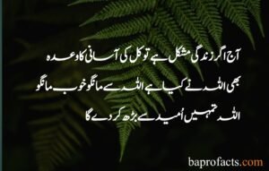 Best Islamic Quotes in Urdu 