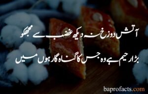 Best Islamic Poetry in Urdu