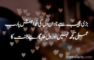 Best Islamic Poetry in Urdu