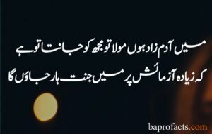 Best Islamic Poetry in Urdu