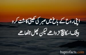 Sabar Quotes in Urdu