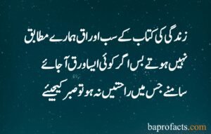 Sabar Quotes in Urdu