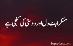 Smile Quotes in Urdu