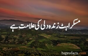 Smile Quotes in Urdu