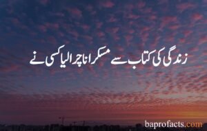 Smile Quotes in Urdu