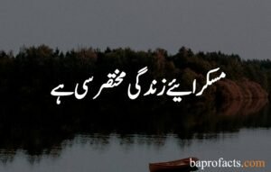 Smile Quotes in Urdu