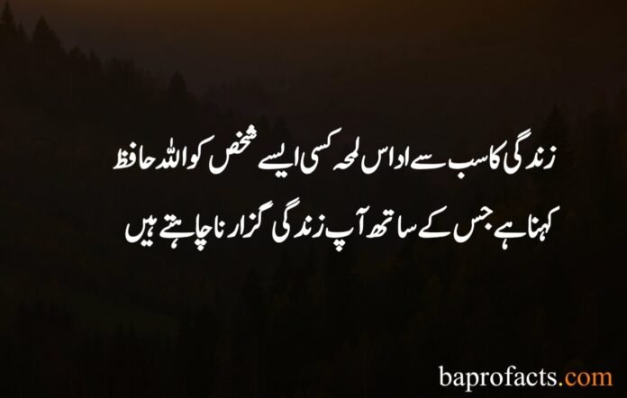 Sad Quotes About Life in Urdu